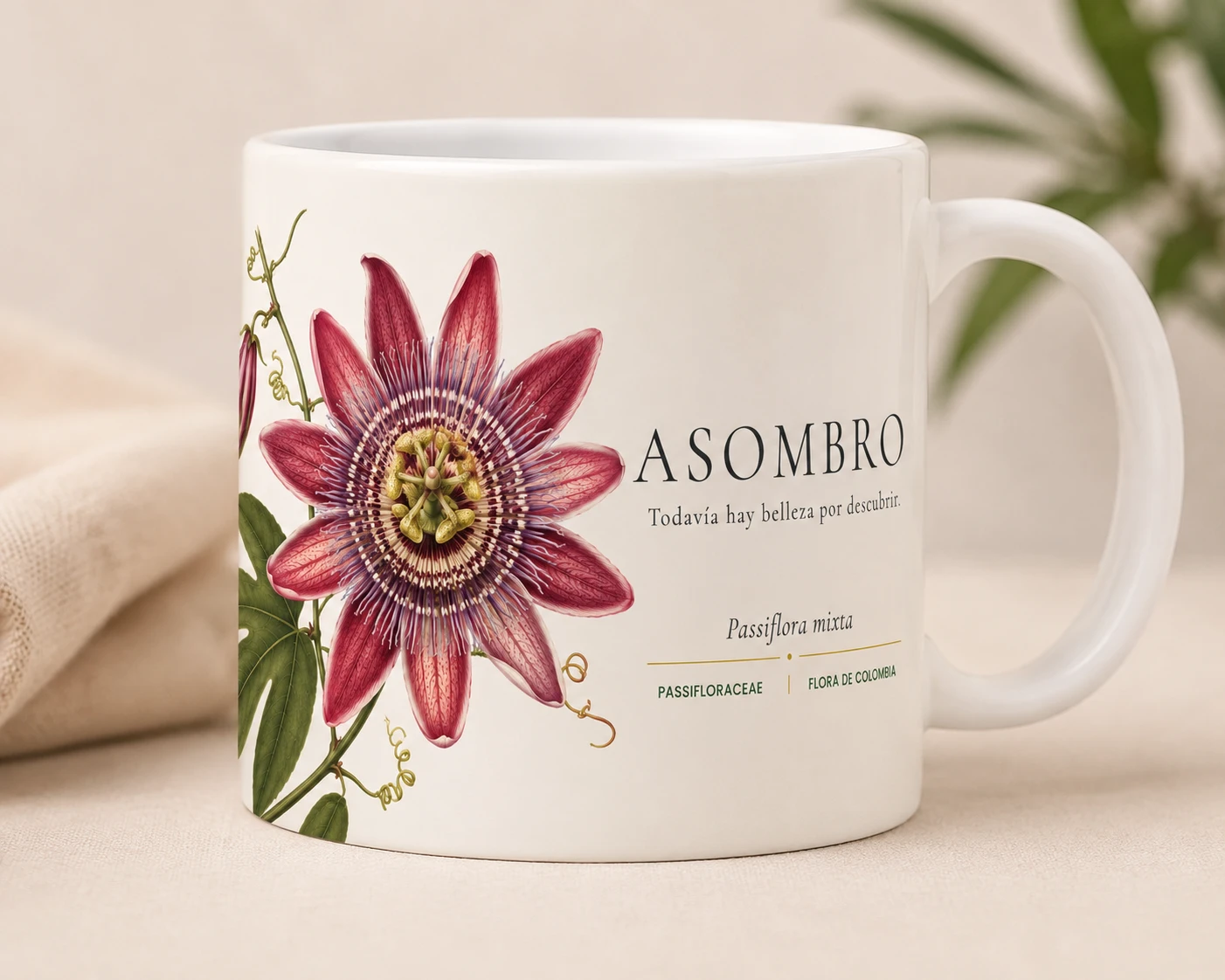 Mug VERBO 'Todavía hay belleza por descubrir', ilustración botánica de Passiflora mixta, flor de Colombia