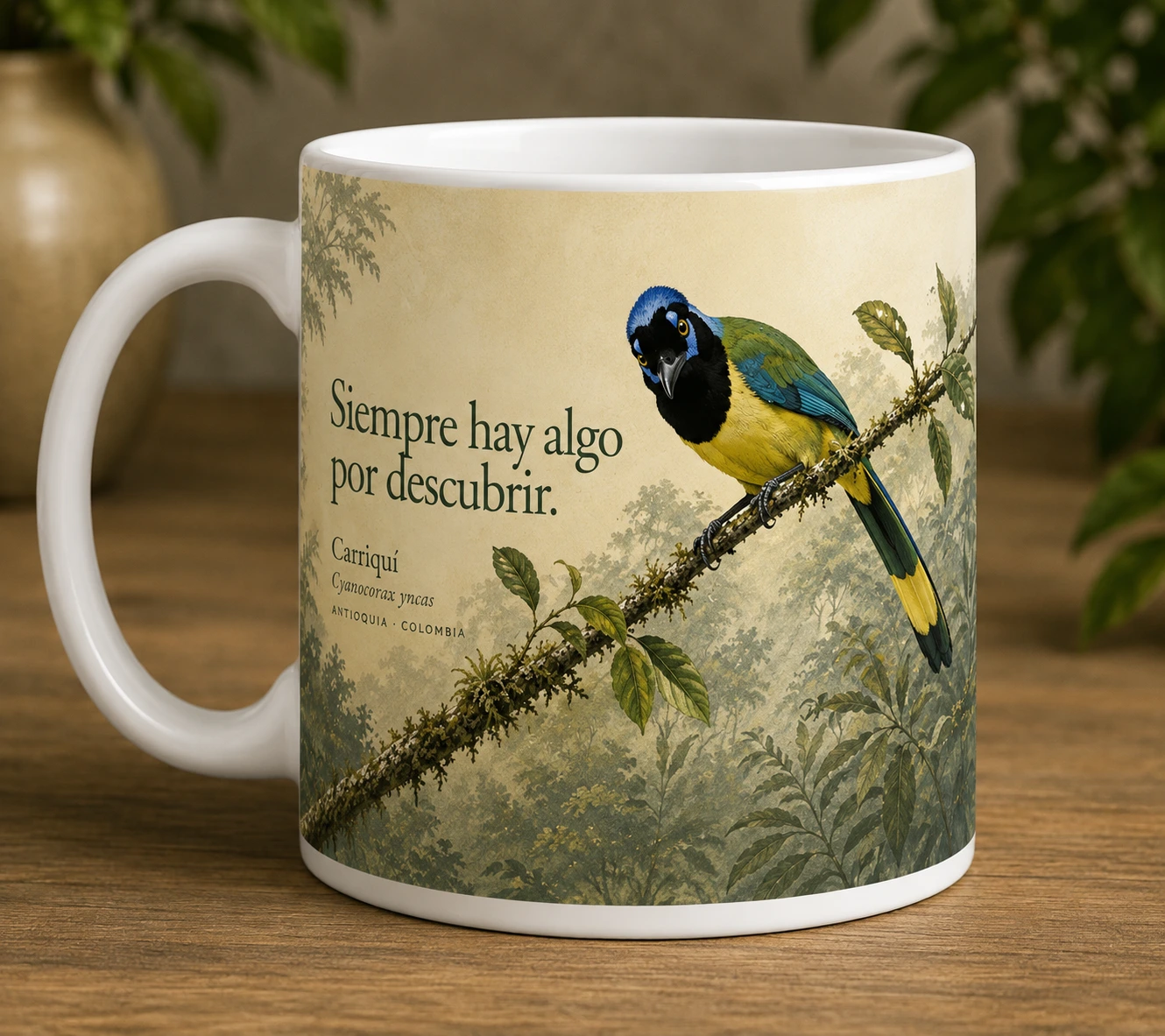 Mug VERBO 'Siempre hay algo por descubrir', retrato editorial de un Carriquí (Cyanocorax yncas) posado en el bosque de Antioquia