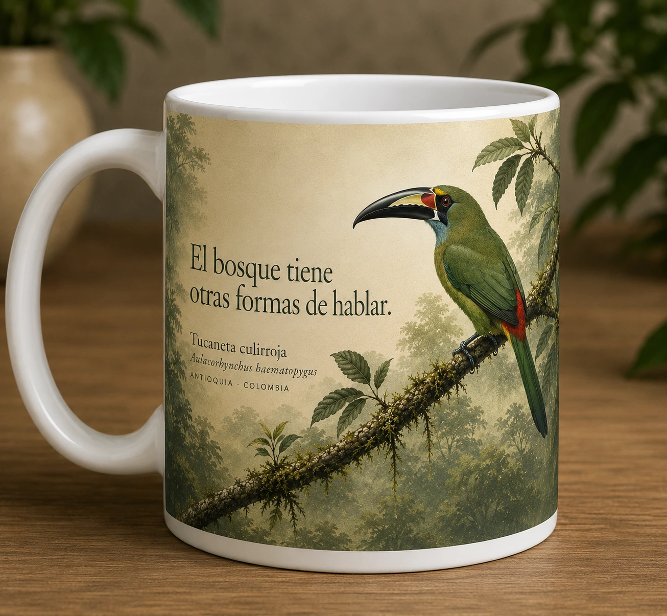 Mug VERBO 'El bosque tiene otras formas de hablar', retrato editorial de una Tucaneta culirroja (Aulacorhynchus haematopygus) posada en el bosque de Antioquia