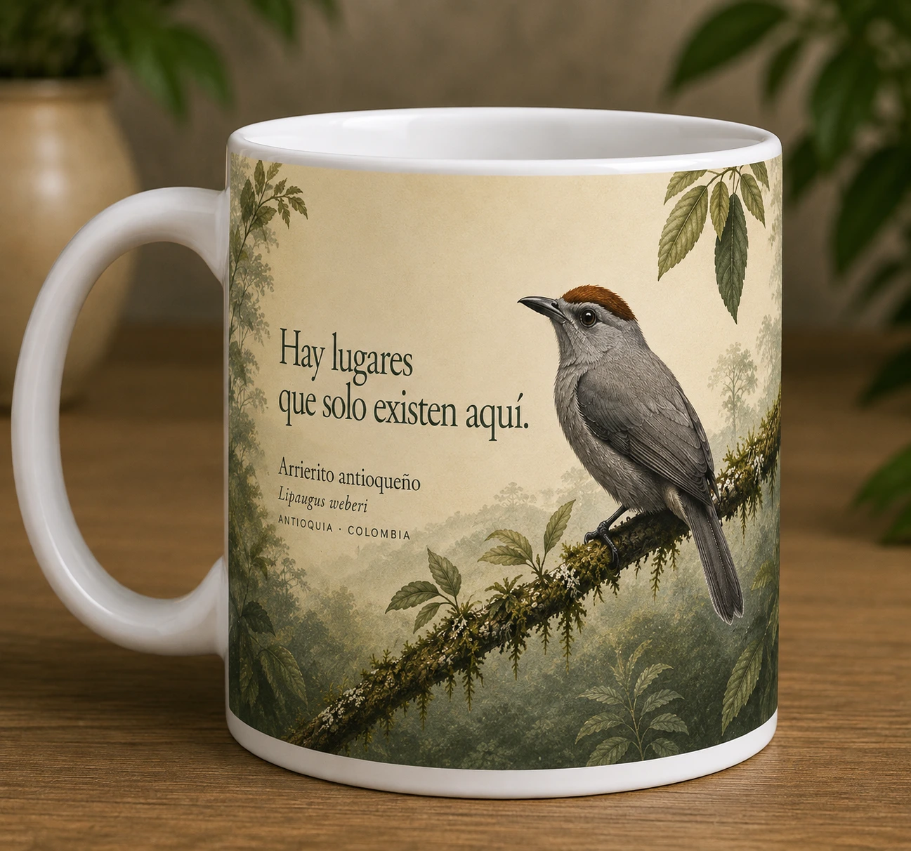 Mug VERBO 'Hay lugares que solo existen aquí', retrato editorial de un Arrierito antioqueño (Lipaugus weberi) posado en el bosque de Antioquia